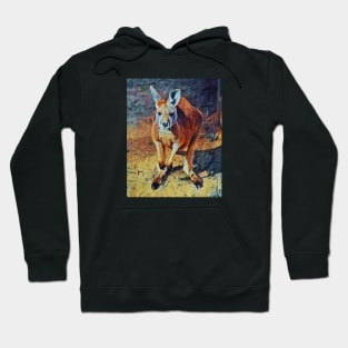 Australian joey kangaroo Hoodie